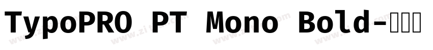 TypoPRO PT Mono Bold字体转换